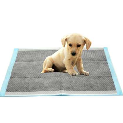 Wholesale moisture absorption pet dog training pad dog urine absorbing mats dog pee mat