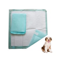 Cheap Sanitary Pee Toilet Absorbent Basics Pet Dog Training And Puppy Pads